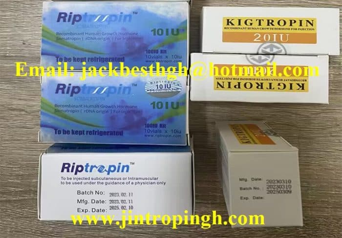 kigtropin HGH 200iu Best Sell product For Bodybuilding - Image 3